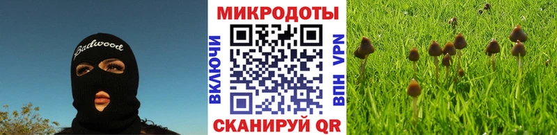 купить наркотики сайты  Солнечногорск  Псилоцибиновые грибы мухоморы 